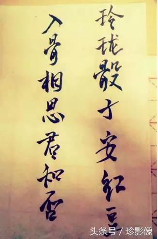 曾经拥有后来舍弃更难,曾经以为拥有后来才知道舍弃