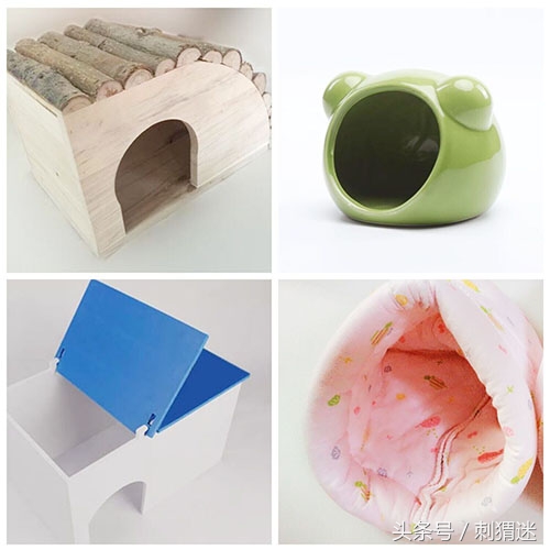 想养宠物需要做什么,想养宠物条件