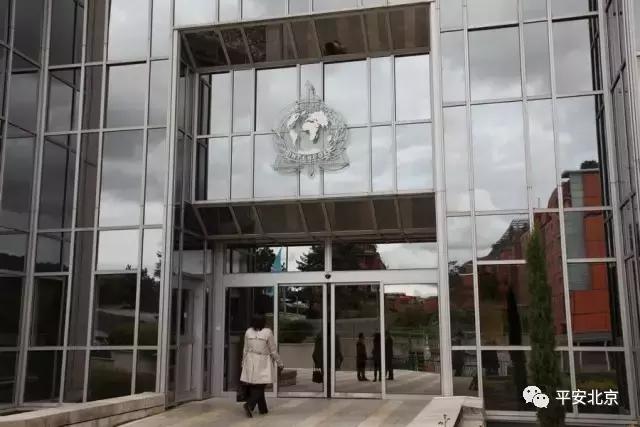 国际刑警组织是一个怎样的存在,国际刑警警察组织是什么组织