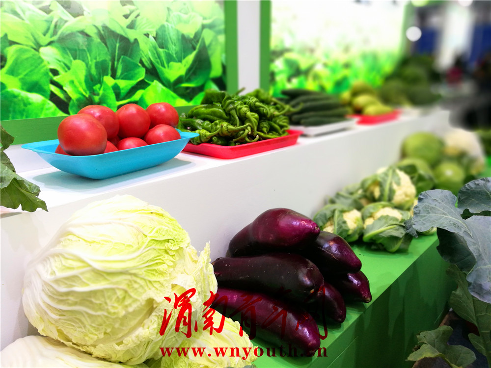 中国第六届西部跨采会,第六届中国西部服装展会