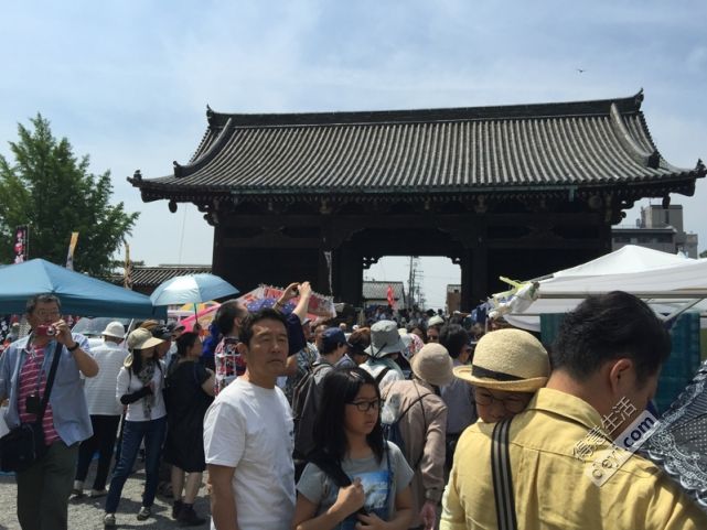 碉堡｜日本关西深度游最详细攻略！体验全日本最美的小渔村，吃嗨