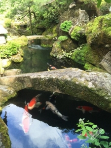 日本小众深度游玩攻略,日本关西打卡攻略