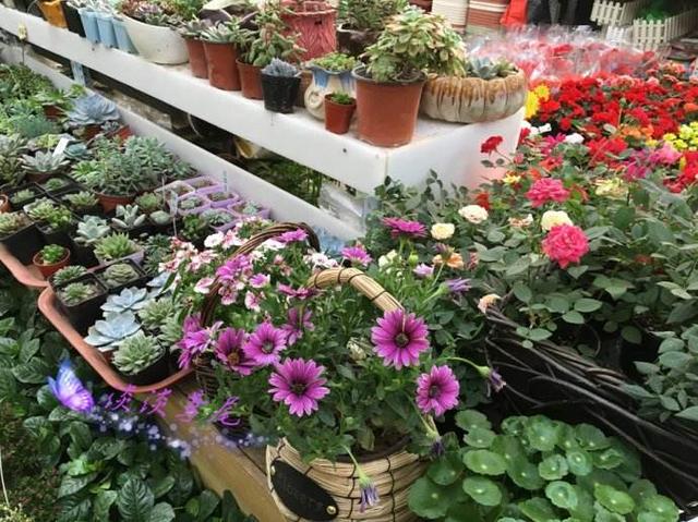 买花时注意2点预防被骗,去花市买花需要注意什么