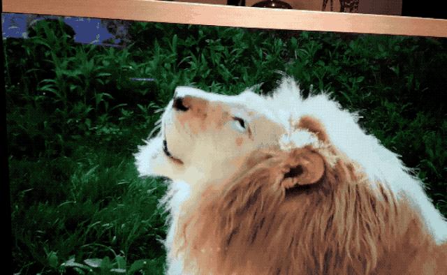 最近很火的透明电视机,特别劲爆的电视剧