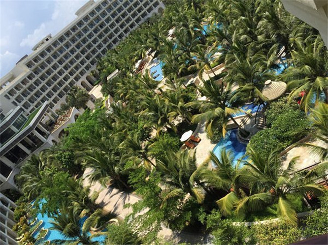 一场说走就走的自驾游旅行,一场说走就走的三亚之旅