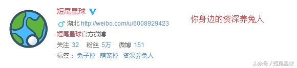 宠物兔喂草还用喝水吗,宠物兔喝水视频