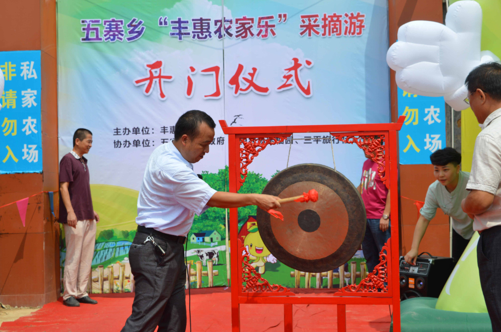 福建平和蜜柚熟啦,五寨乡蜜柚