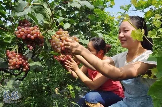 长假不远游的地方,长假不远行浙里有风景