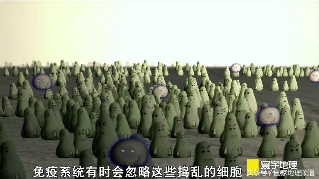 艾滋病毒能杀死新冠病毒吗,艾滋病毒能攻击淋巴癌吗