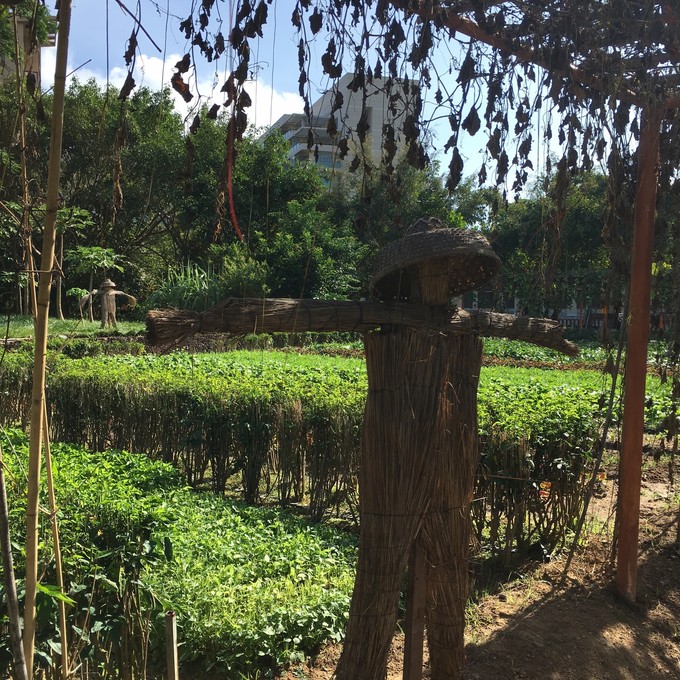 一场浪漫的三亚之旅,一场浪漫的三亚旅行