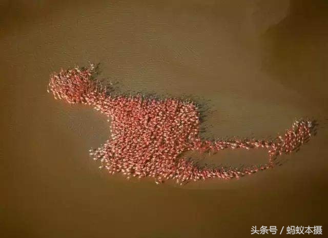 30张你一辈子也拍不到的照片,十种你一辈子都拍不到的照片