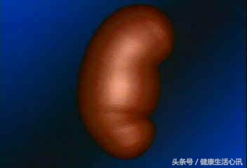 肾衰竭肾囊肿怎么治疗最好,肾衰竭和肾囊肿有什么区别