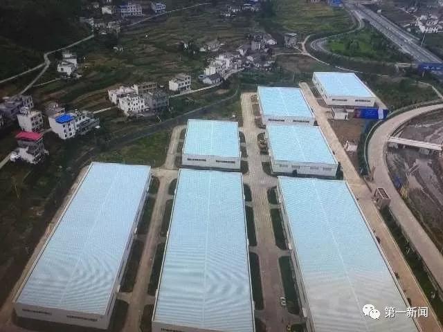 追赶超越看今朝，厉害了！我的“安康绿”！