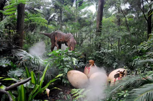 广州长隆野生动物园吃东西攻略,广州长隆野生动物园吃喝攻略