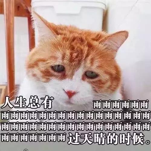 混油皮30以上秋冬抗老面霜,秋冬应该买什么面霜比较好