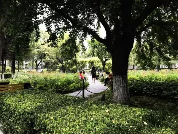 六次定格，带你探寻师大日起日落的故事