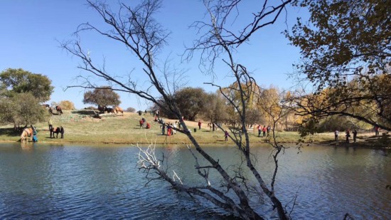 魅蓝6测评,良心的手机测评