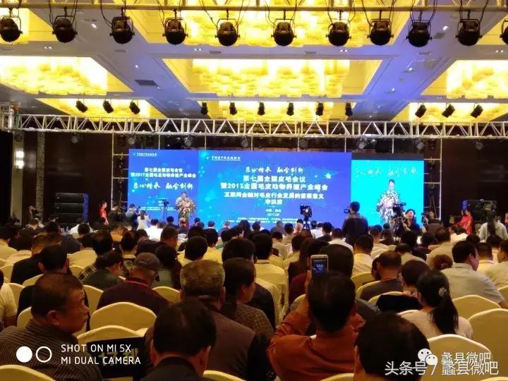 蠡县奖状一等奖,蠡县中国皮都