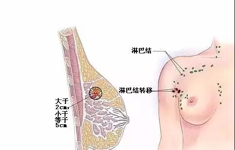 身边的12种致命毒素,八大症状暗示你体内毒素超标