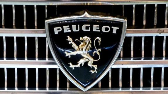 狮子车标有哪几款,标致狮王标志历史