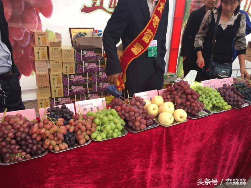 陕西合阳红提葡萄图,合阳红提葡萄节