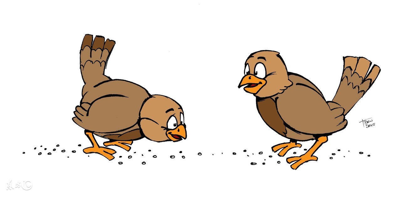 十二星座的开运宠物白羊座,12星座最适合养什么宠物