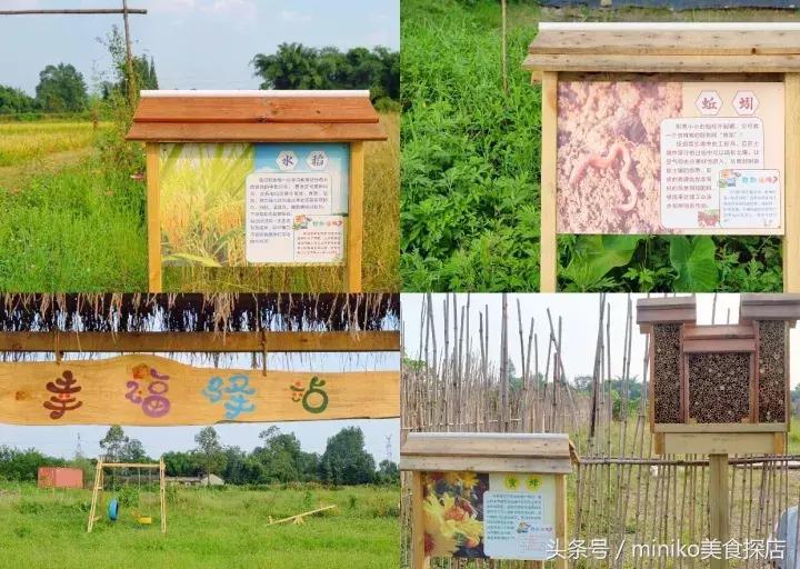 成都周边农场推荐,成都周边最有特色的农场