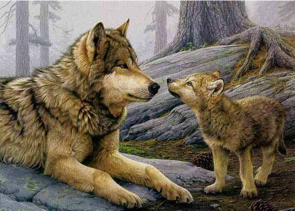 雷亚出场被偷袭,雷亚吓观众