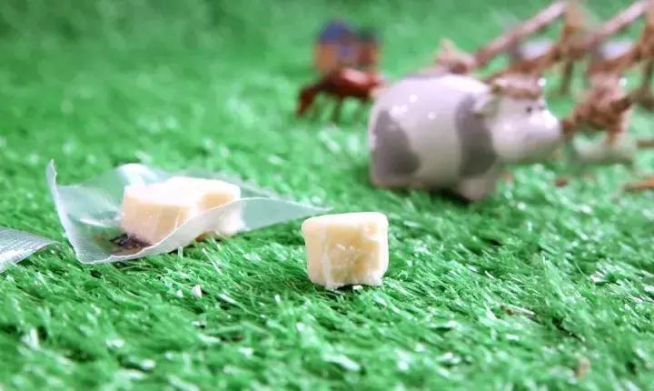 网红酸奶确实好喝,曾经的网红酸奶