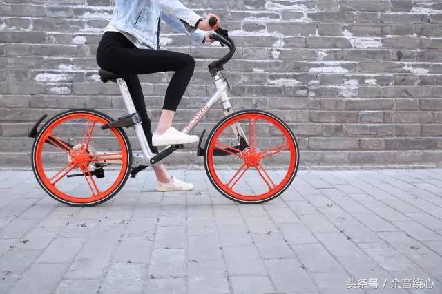 山东曲阜三孔游玩攻略,曲阜三孔一日游攻略