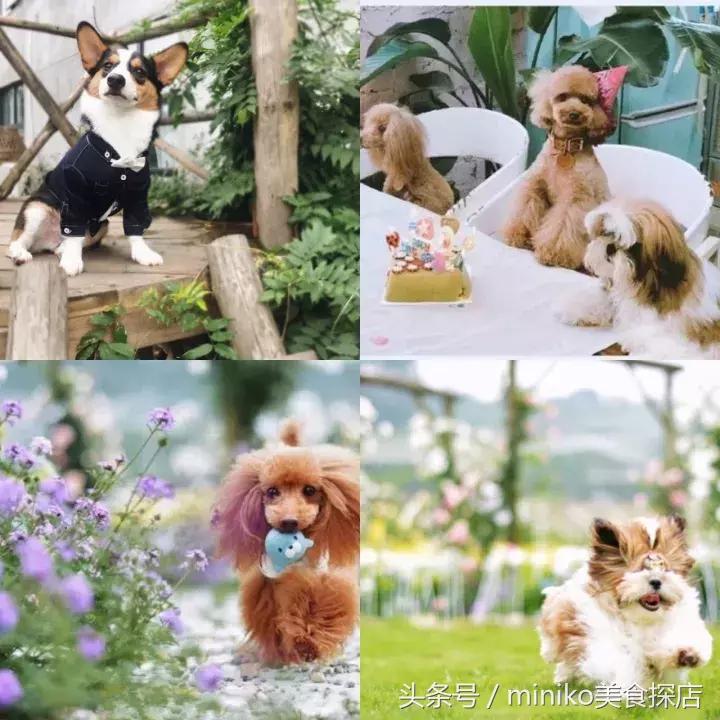 成都周边农场推荐,成都周边最有特色的农场