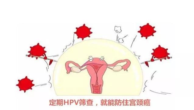 腹腔镜下子宫全切术成功实施!专家提醒,意外出血或是宫颈癌信号