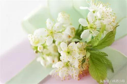 爱是依赖不依赖不是爱,爱就是一种互相依赖吗