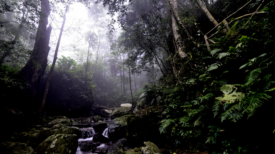 西双版纳景洪游记,云南西双版纳景洪旅游攻略
