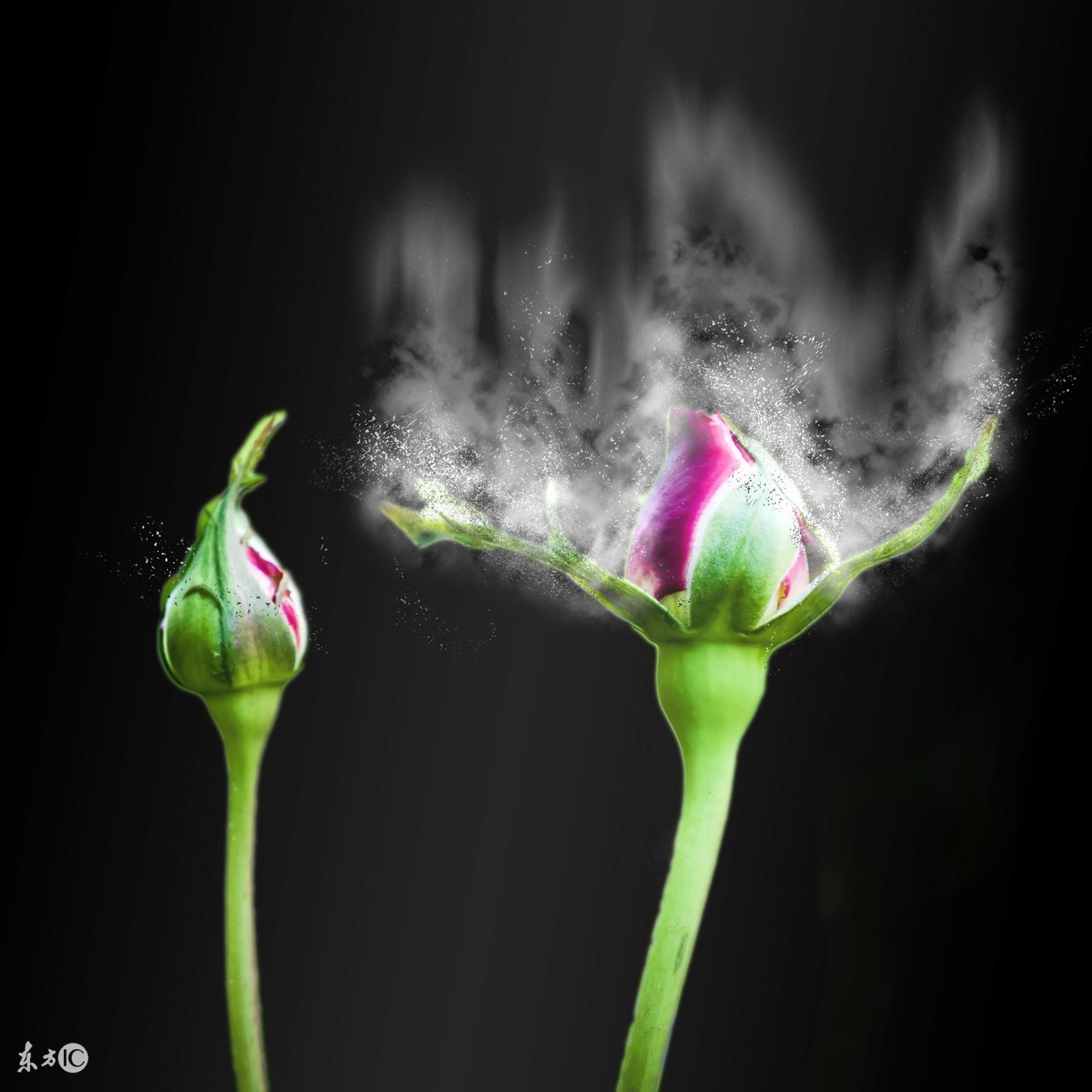 细说同型半胱氨酸,健康科普带你了解同型半胱氨酸