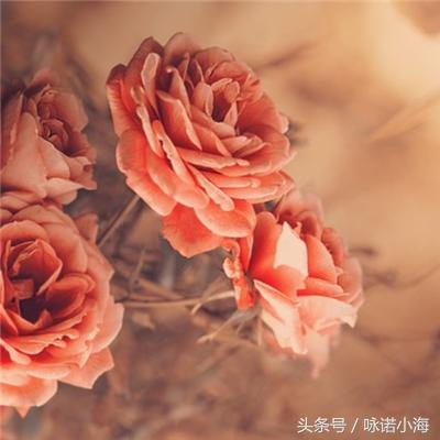 爱和依赖是有区别的,真正的爱是信任和依赖