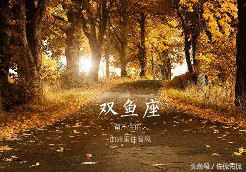 十二星座情侣配对双鱼座男,十二星座配对图片双鱼座