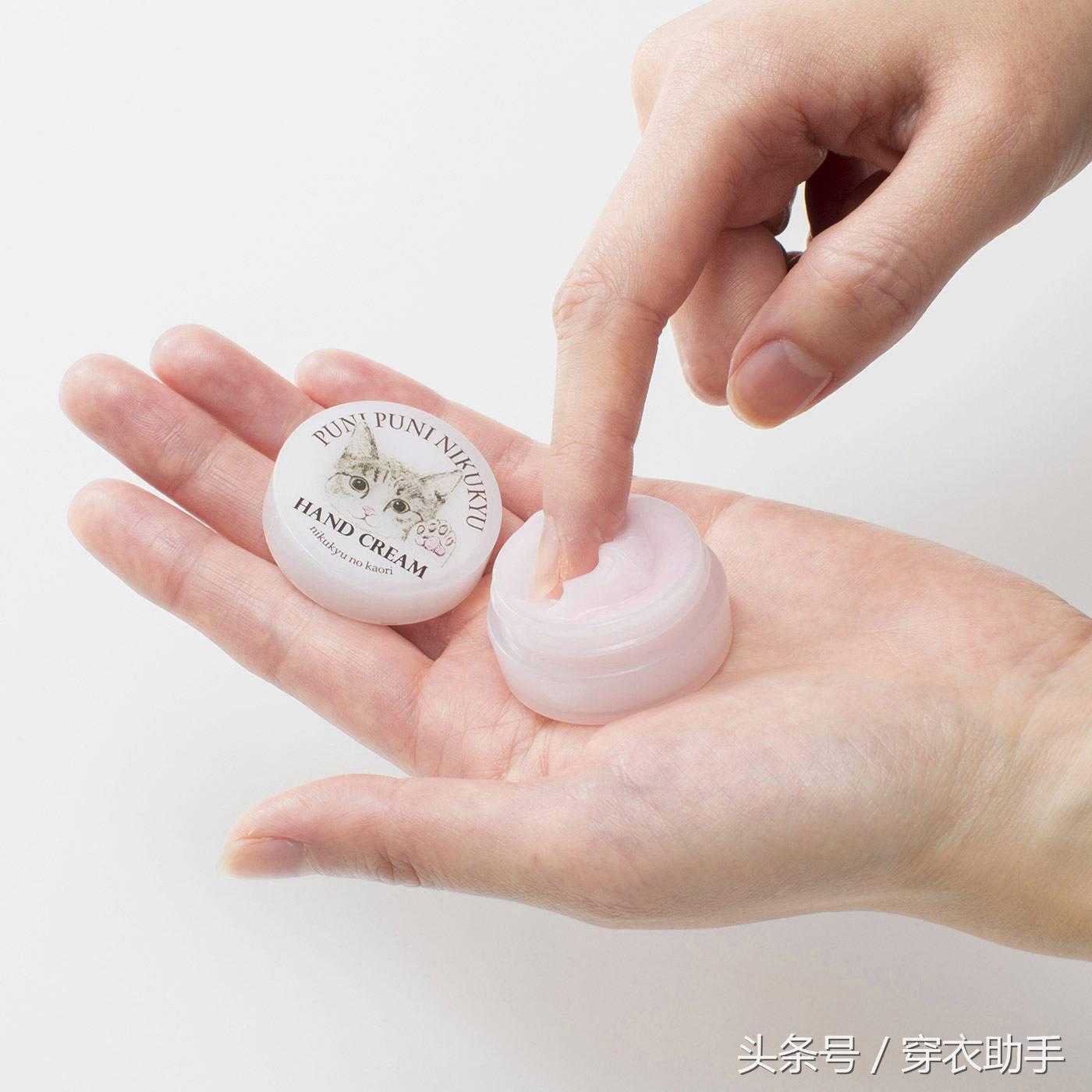 提升猫咪智商的玩具,提高猫咪的生活品质