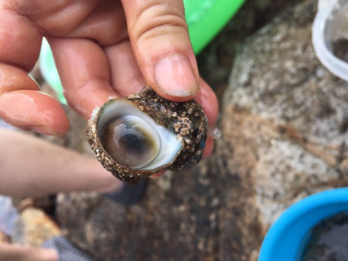 国庆广州佛山好玩地方推荐,广州周边国庆人少好玩的地方