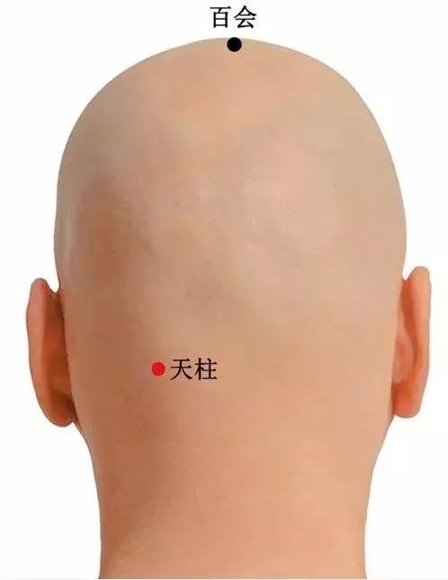 20个对身体有效黄金穴位,人体十大养生穴位