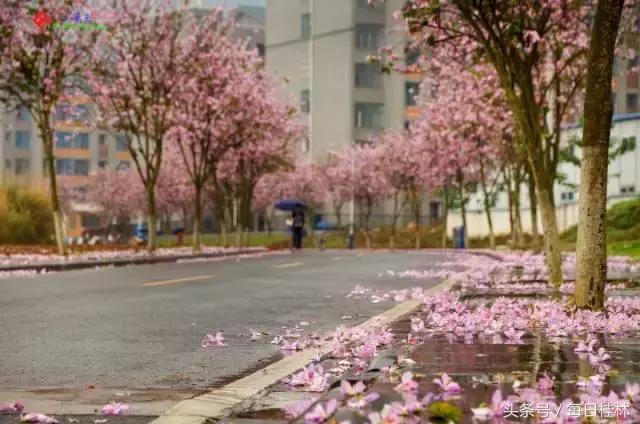 久违了,我的桂林电子科技大学!