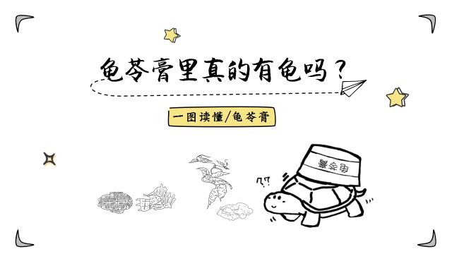 正宗的龟苓膏是用什么龟,龟苓膏上真的有龟吗