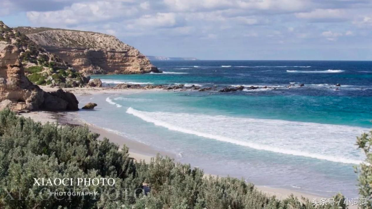 玩转南澳大利亚，这篇最全旅行攻略一定可以帮到你