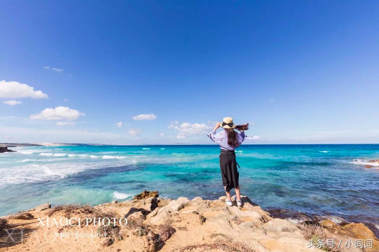 玩转南澳大利亚，这篇最全旅行攻略一定可以帮到你