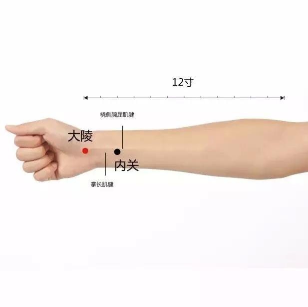 20个对身体有效黄金穴位,人体十大养生穴位