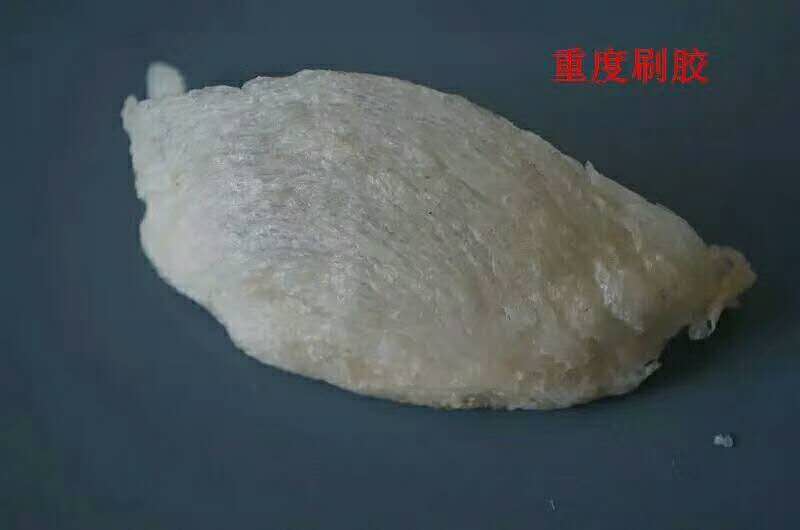 马来西亚燕窝与印尼燕窝哪个好,马来西亚的燕窝和印尼燕窝区别
