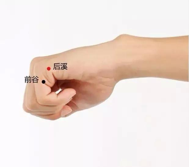 20个对身体有效黄金穴位,人体十大养生穴位