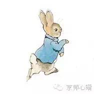 彼得兔的经典故事8册,彼得兔的故事书目推荐