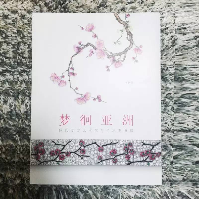 长知识升逼格｜来看看大蜥蜴国有多了不起