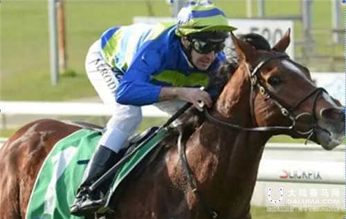 恒信马业百万公马比赛,大陆赛马